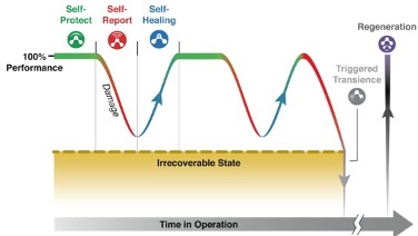 The lifecycle of polymers with autonomous function.