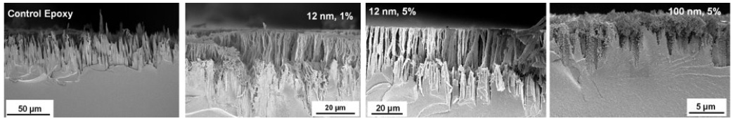 &amp;amp;lt;span style=&amp;amp;quot;list-style-type: disc;&amp;amp;quot; xml:lang=&amp;amp;quot;EN-US&amp;amp;quot; data-contrast=&amp;amp;quot;none&amp;amp;quot; data-usefontface=&amp;amp;quot;false&amp;amp;quot;&amp;amp;gt;AO erosion studies of nanocomposites at the ISS&amp;amp;lt;/span&amp;amp;gt;